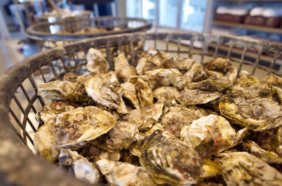 澎湖旅遊-BBQ吃到飽